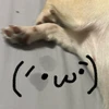 megenai.com
