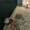 白柳徹夫
