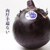 京ナスちゃん