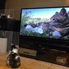 りんりん
