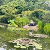 山口琴