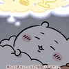 ぽめちゃん