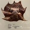 ご飯モリモリ森鴎外