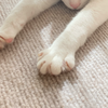 miu