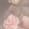 桃