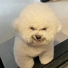 ごじゅっぽひゃっほー