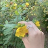まる