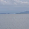 ゆう