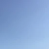 使ってません