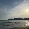 だま