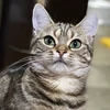 ゆうこ