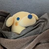 ぽちつち