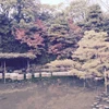 オータム