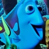 nkttkm3333