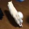 にょ