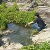 のぶ