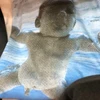 もりお