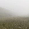 fog
