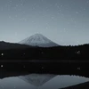 ハルキ