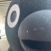 ホケミ