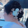 沙羅丸