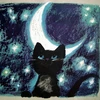 紺ノ星