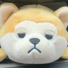 まさお