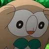 こも