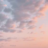ことね