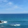 河豚