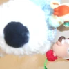 まゆこ