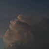userd0zOcdseS6W