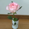 Ts