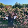 てふ