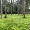 魑魅魍魎