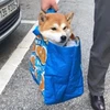 きろく
