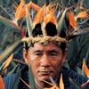 Yoshimaroon