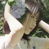 meixi