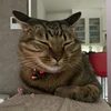 る