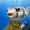 おんせん