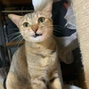 user1OS3iqsyQxc