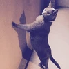 ユースケ
