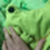 ほげっこー