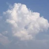 まるる