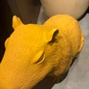 userBwLMKdxfqvb