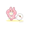 もちこ