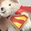 MU