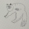 うつけ