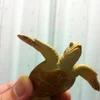庄司鉄央