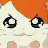 も